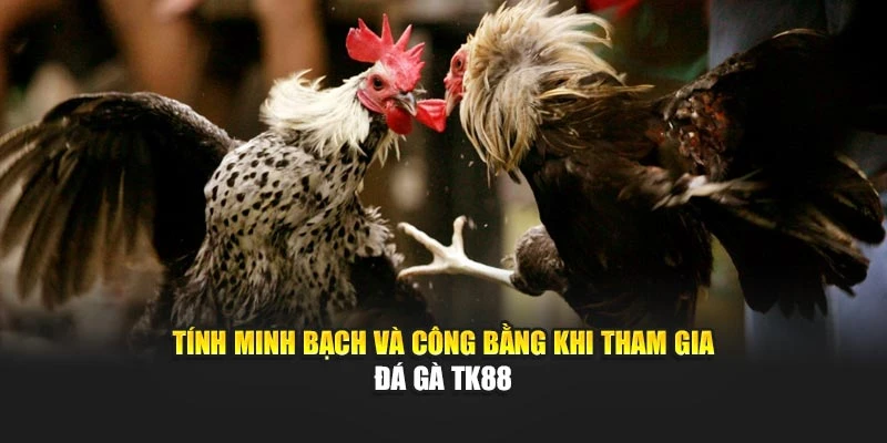 tinh-minh-bach-va-cong-bang-khi-tham-gia-da-ga-tk88